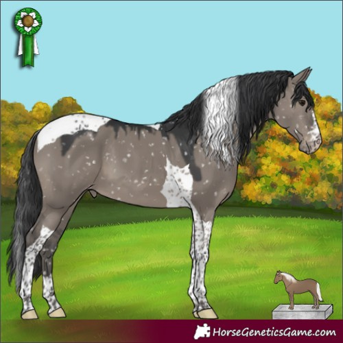 Horse Color:Grullo Mushroom Tobiano Snowcap 