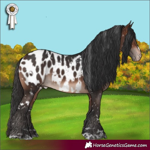 Horse Color:White Spotted Brown Mushroom Near Leopard