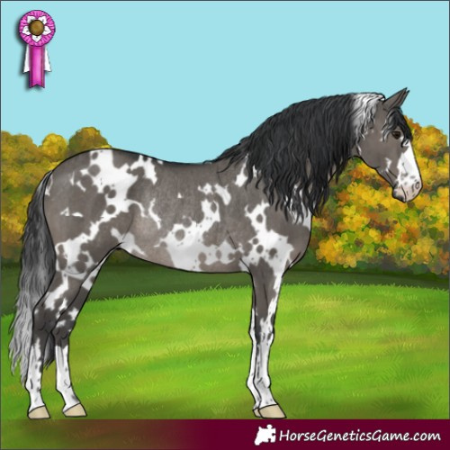 Horse Color:White Spotted Grullo Mushroom Rabicano Brindle 