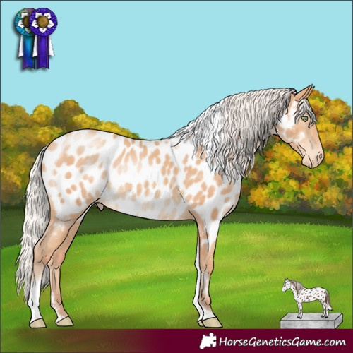 Horse Color:Silver Amber Champagne Tobiano Near Leopard Rabicano