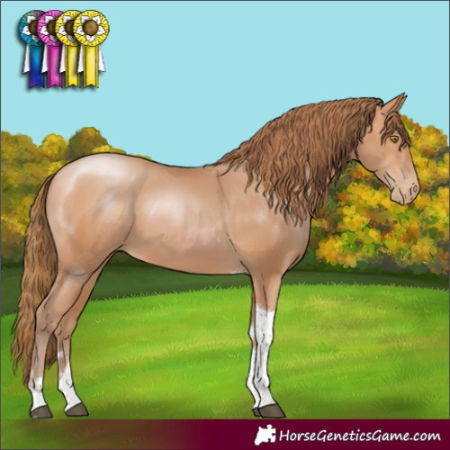 Horse Color:Bay Pearl Tobiano Rabicano 