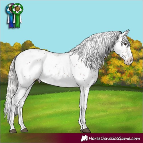 Horse Color:Silver Brown Sabino Blanket Rabicano