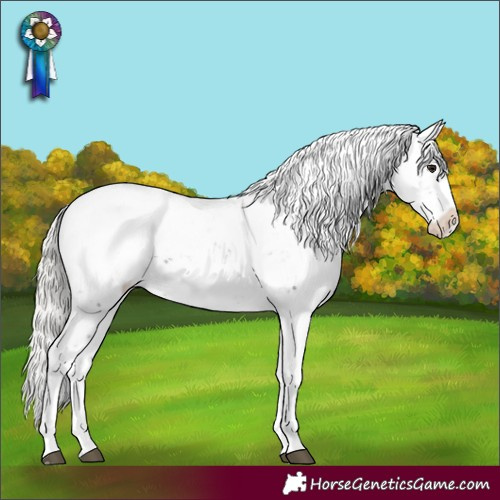 Horse Color:Silver Brown Sabino Snowcap Rabicano