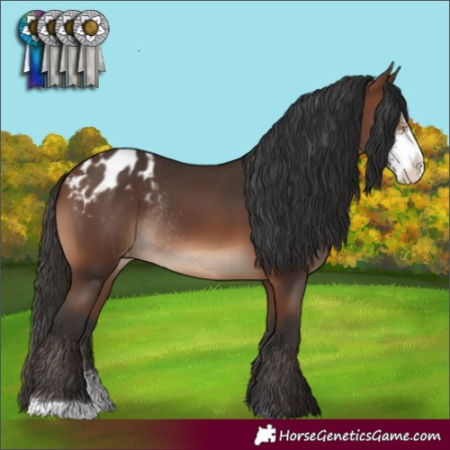 Horse Color:Brown Sabino Blanket Rabicano 