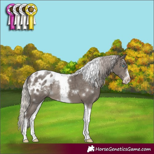 Horse Color:White Spotted Silver Black Tobiano Frame Blanket Rabicano