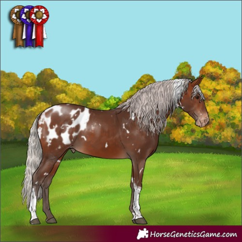 Horse Color:White Spotted Silver Bay Tobiano Blanket 