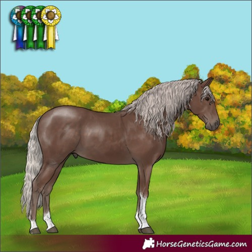 Horse Color:Silver Black Tobiano Rabicano