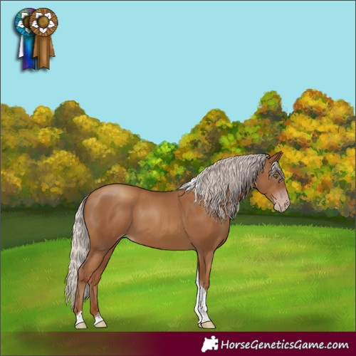 Horse Color:Gray Silver Classic Champagne Tobiano