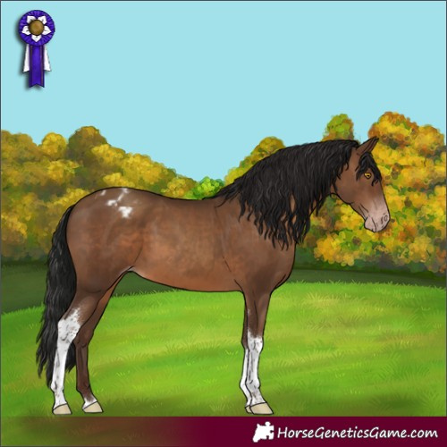 Horse Color:Gray Sable Champagne Tobiano Varnish Rabicano