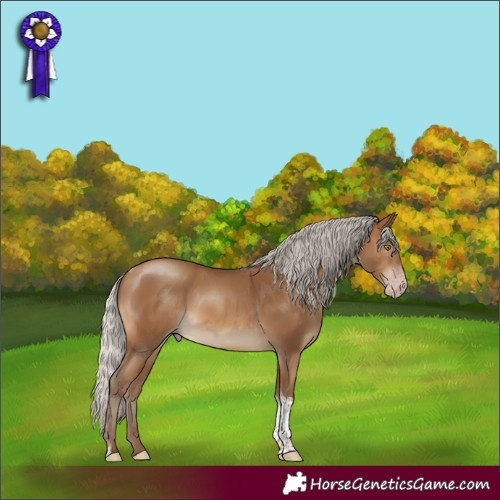Horse Color:Gray Silver Amber Champagne Tobiano Rabicano