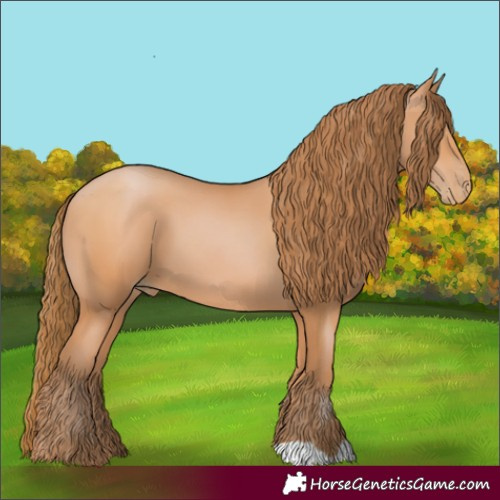 Horse Color:Bay Pearl