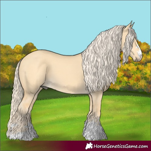 Horse Color:Palomino Dun