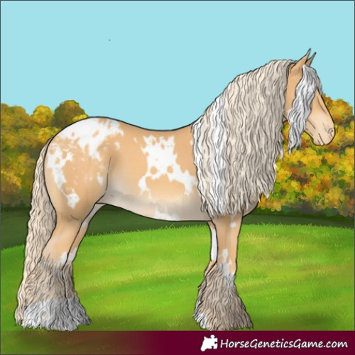 Horse Color:White Spotted Gold Cream Champagne Varnish