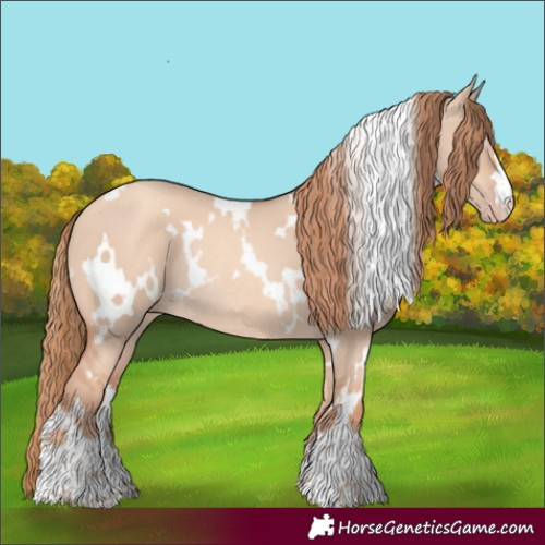 Horse Color:White Spotted Gold Champagne Dun Rabicano 