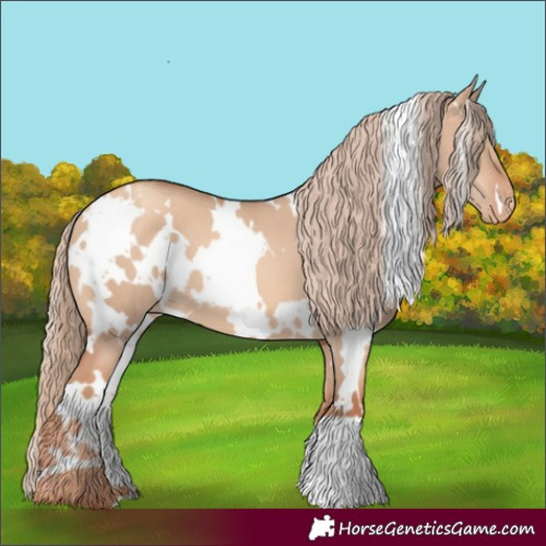 Horse Color:White Spotted Gold Champagne Dun Varnish