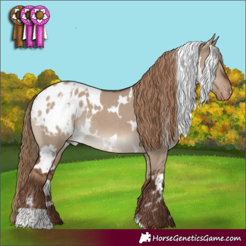 Horse Color:White Spotted Liver Red Dun Varnish 
