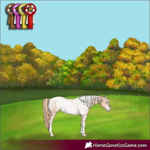 Horse Color:Powder White Perlino Tobiano 