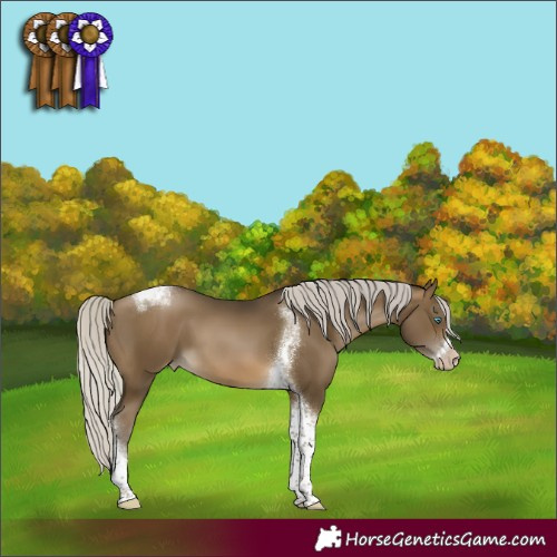 Horse Color:Gray Silver Buckskin Pearl Tobiano Frame 