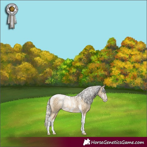 Horse Color:Powder White Silver Buckskin Pearl Tobiano Frame