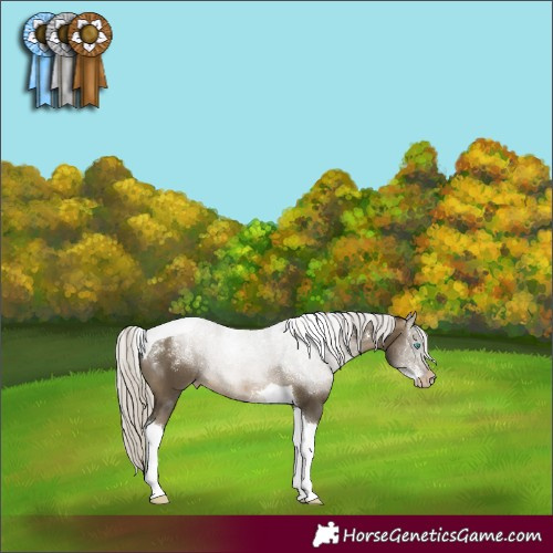 Horse Color:Powder White Gray Silver Buckskin Pearl Tobiano 