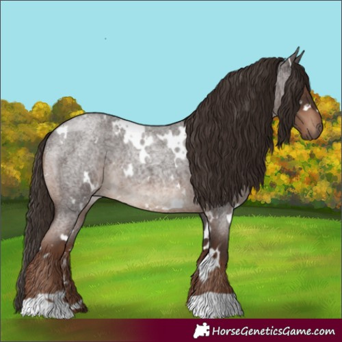 Horse Color:White Spotted Liver Red Roan