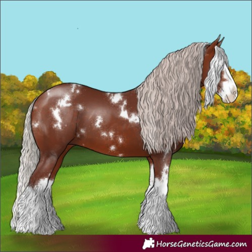 Horse Color:White Spotted Chocolate Silver Brown Splash 