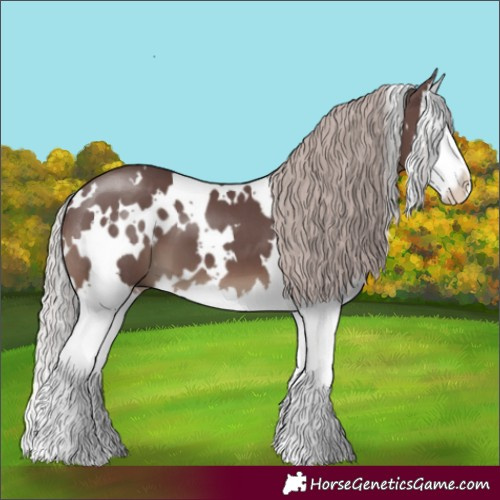 Horse Color:White Spotted Chocolate Silver Black Splash 