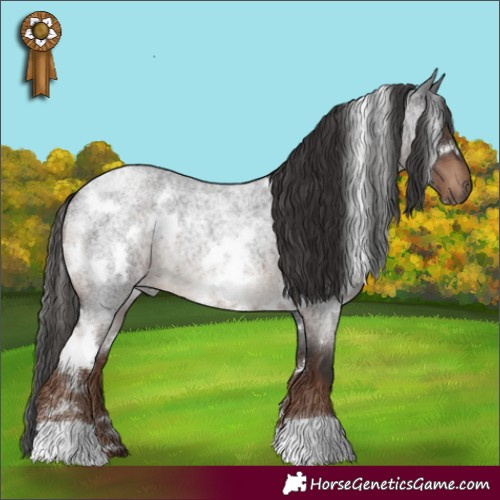 Horse Color:White Spotted Liver Red Roan