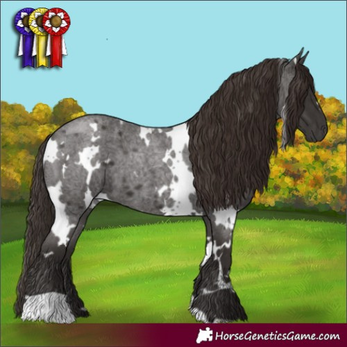 Horse Color:White Spotted Liver Red Roan 