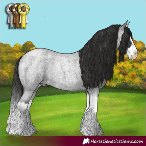 Horse Color:Liver Red Roan Splash 