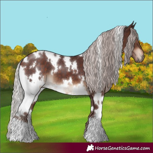 Horse Color:White Spotted Chocolate Silver Brown 