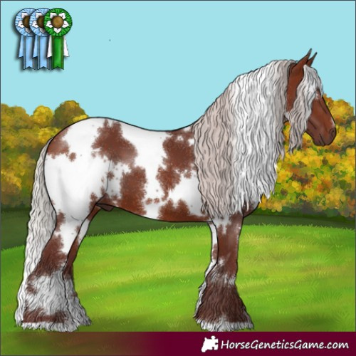 Horse Color:White Spotted Chocolate Silver Brown