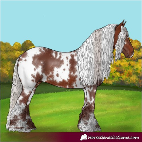 Horse Color:White Spotted Chocolate Silver Brown
