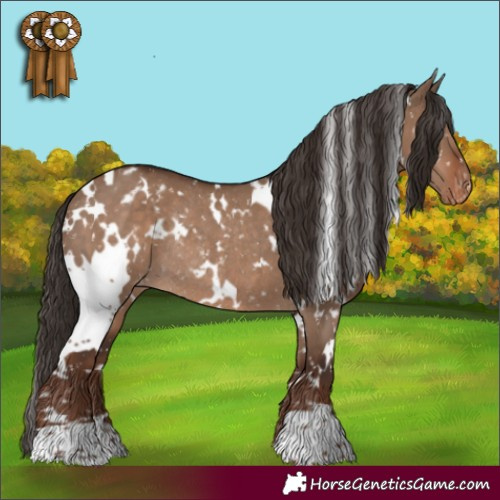 Horse Color:White Spotted Liver Red Dun Blanket Rabicano