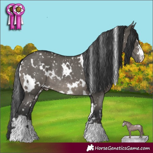 Horse Color:White Spotted Grullo Snowflake VarnishRabicano