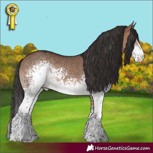 Horse Color:White Spotted Brown Dun Varnish