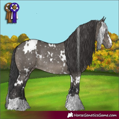 Horse Color:White Spotted Grullo Snowflake Varnish Rabicano