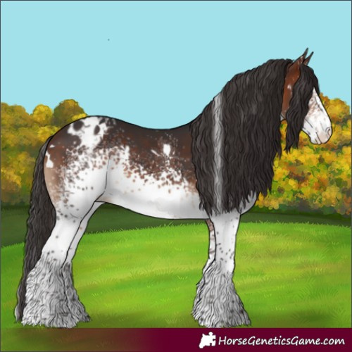 Horse Color:White Spotted Bay Blanket 