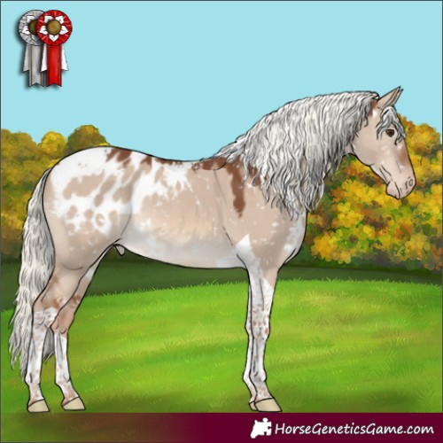 Horse Color:White Spotted Red Dun Mushroom Tobiano Blanket