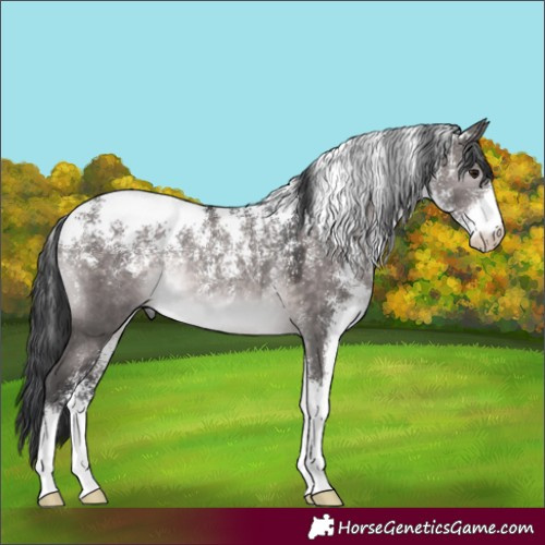 Horse Color:Powder White Platinum Brown Dun Rabicano 