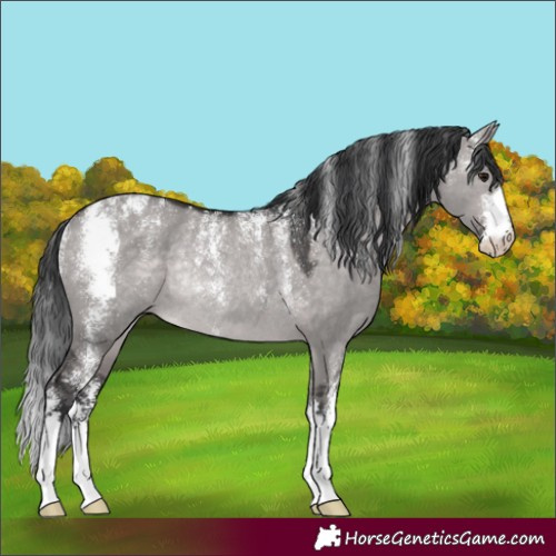 Horse Color:Powder White Platinum Brown Dun Rabicano