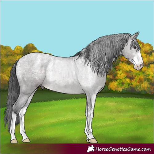 Horse Color:Powder White Platinum Brown Dun Rabicano