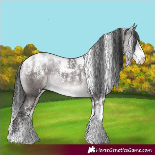 Horse Color:Powder White Platinum Brown Dun Rabicano