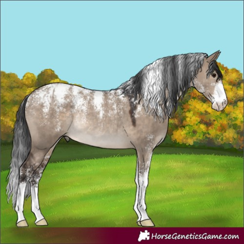 Horse Color:Powder White Brown Dun Rabicano 
