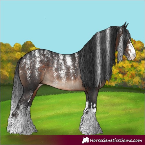 Horse Color:Powder White Brown Rabicano