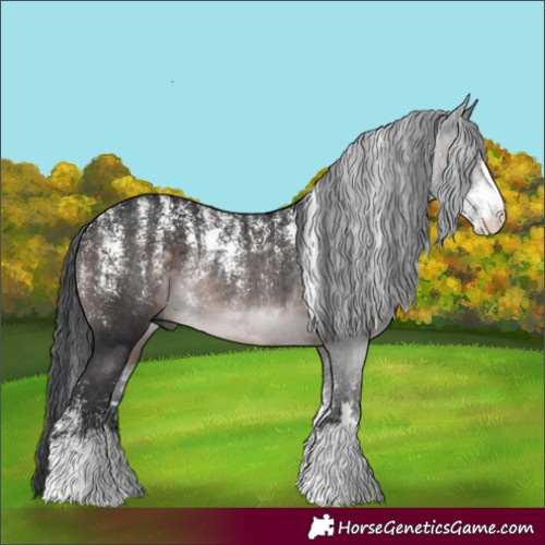 Horse Color:Powder White Platinum Brown Rabicano