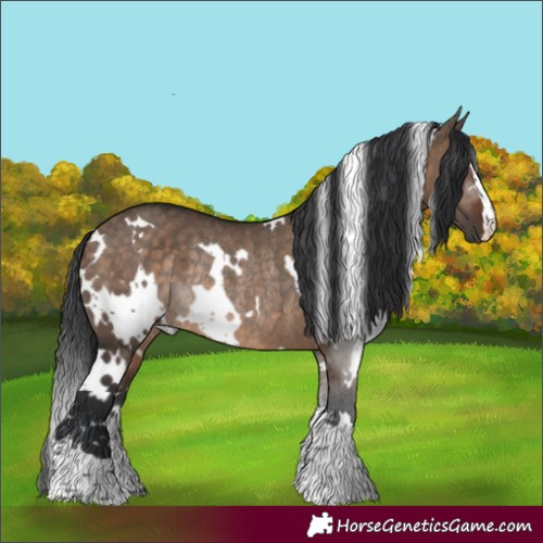 Horse Color:White Spotted Brown Dun Rabicano