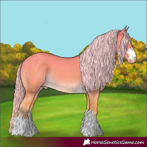 Horse Color:Gold Cream Champagne Dun Varnish