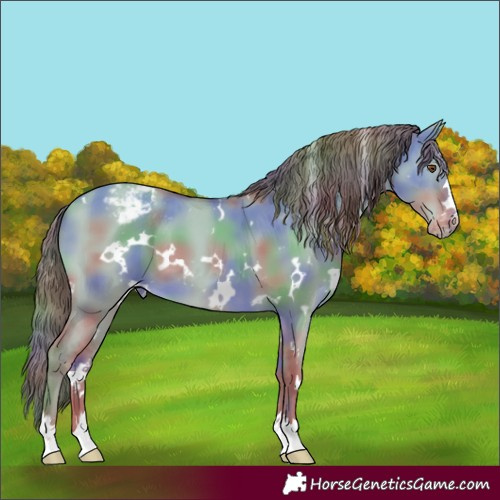 Horse Color:Nacre White Spotted Classic Champagne Dun Snowcap