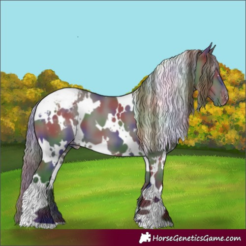 Horse Color:Nacre White Spotted Smoky Grullo Snowcap